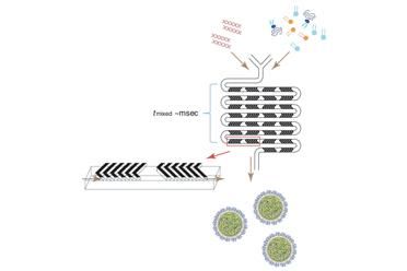 核酸脂质体纳米粒LNP介绍及其制备方法
